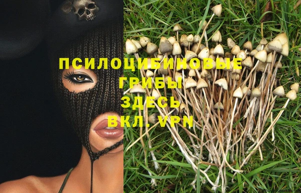 хмурый Алексин