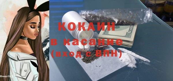 хмурый Алексин